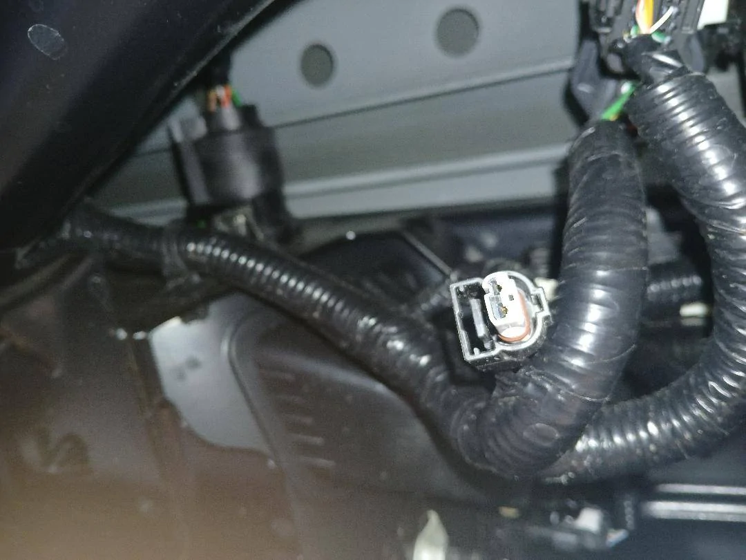license plate bulb harness.jpg