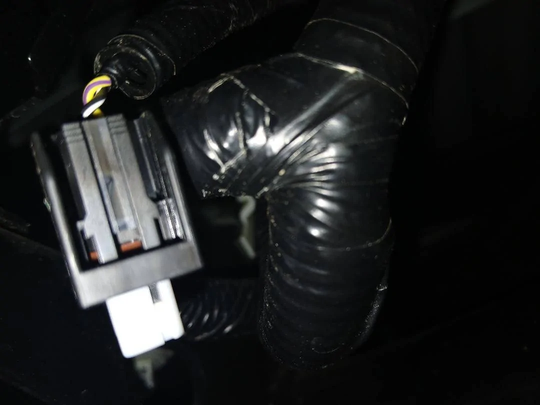 license plate bulb harness 2.jpg