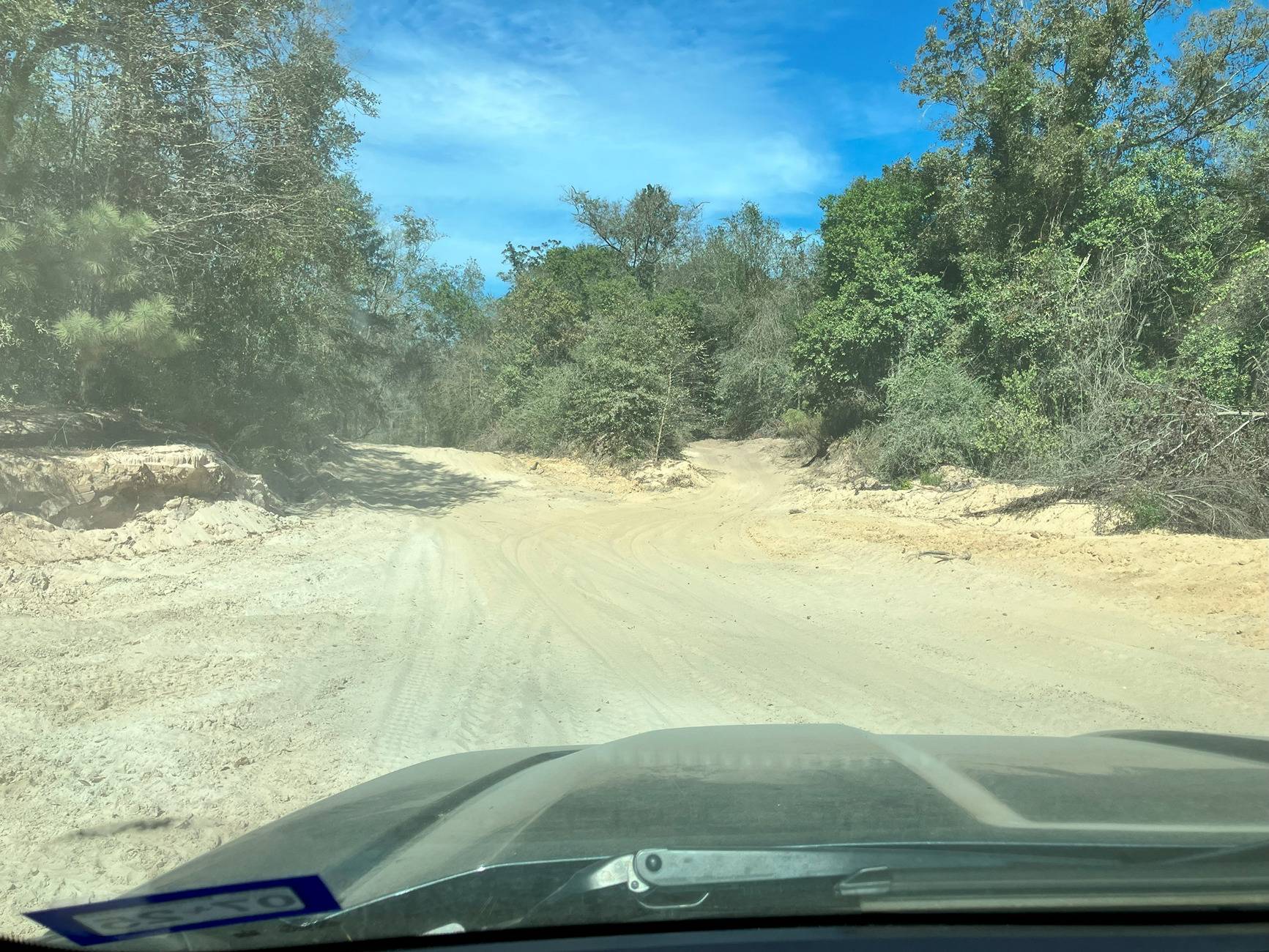 Trail2.jpg