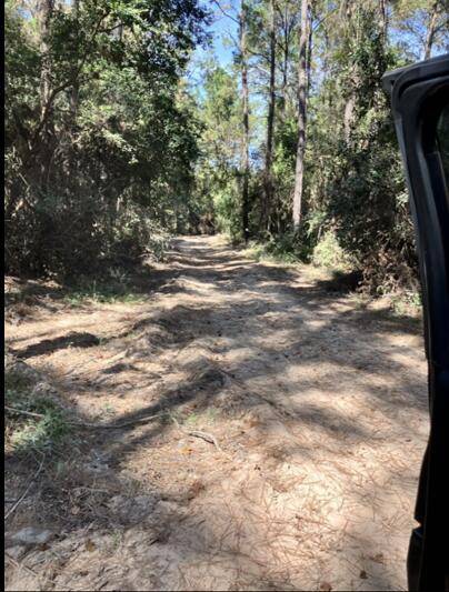 Trail1.jpg