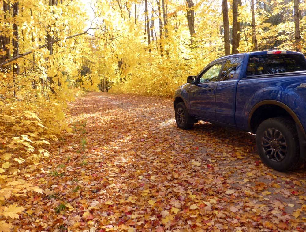 rangerfall0267.jpg