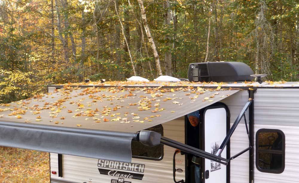 cortcampfall0233.jpg