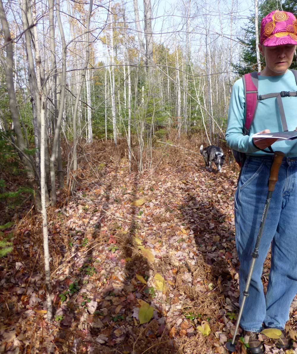 bobscamptrail256.jpg