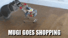 1729736259189-jv.gif