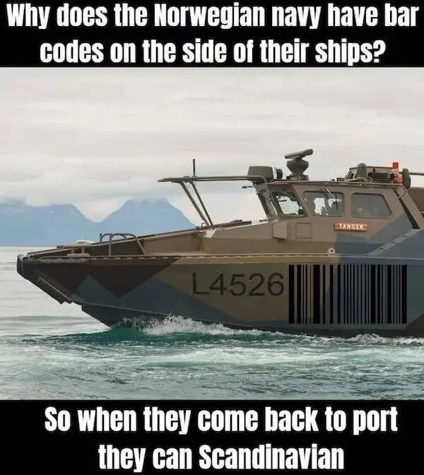 1730065795845-8w.jpg
