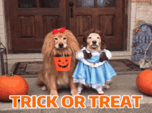1730423817381-86.gif