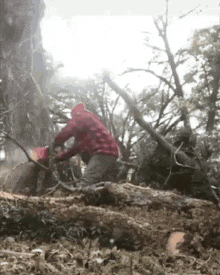1730652841511-fr.gif