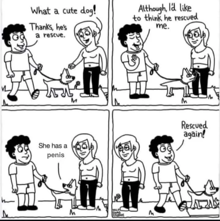 Rescue.webp