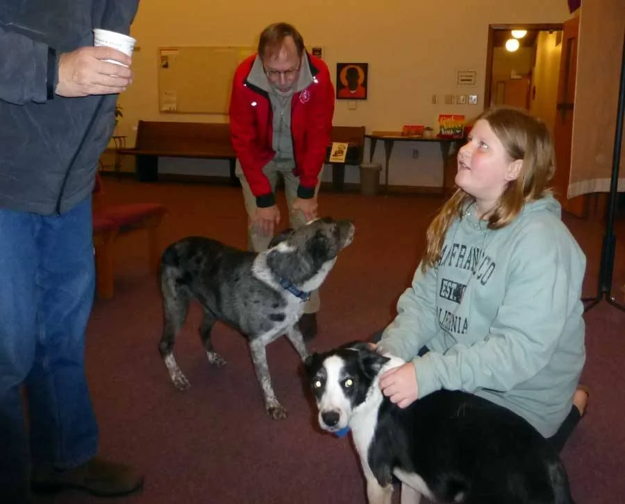 GSdogs607.webp