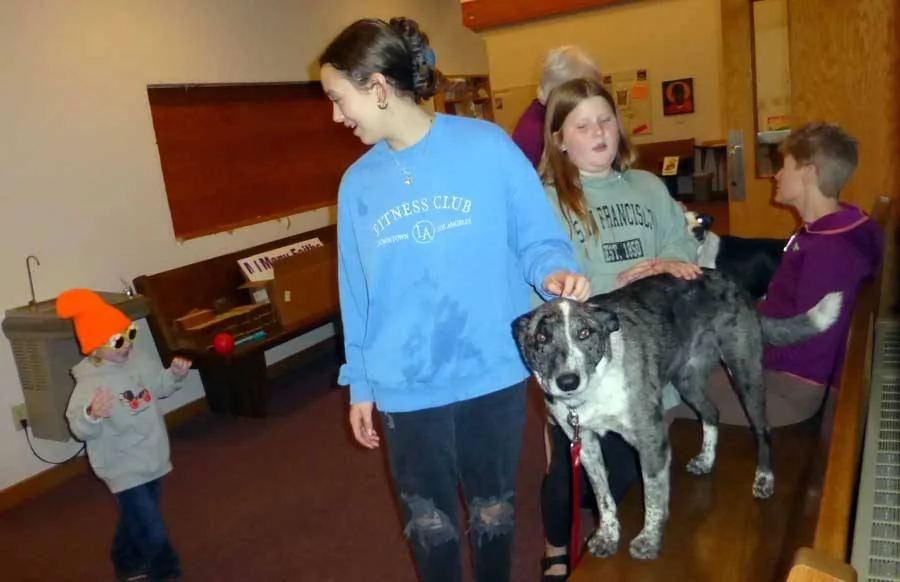 gsdogs0598.webp