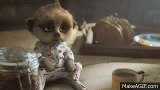 1000006411.gif