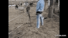 1731513798726-x5.gif