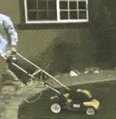 1731514049258-i9.gif