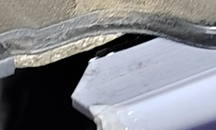 1731593469376-ff.jpg