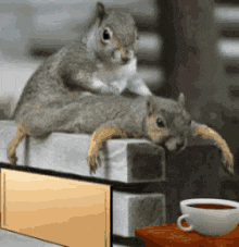 1731938444109-e6.gif