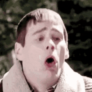1731975699484-us.gif