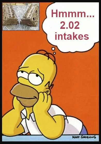 202.webp