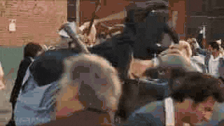 1000006450.gif
