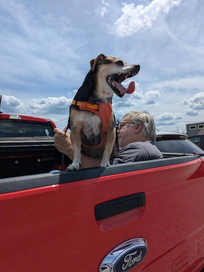 1732286549695-d1.jpg