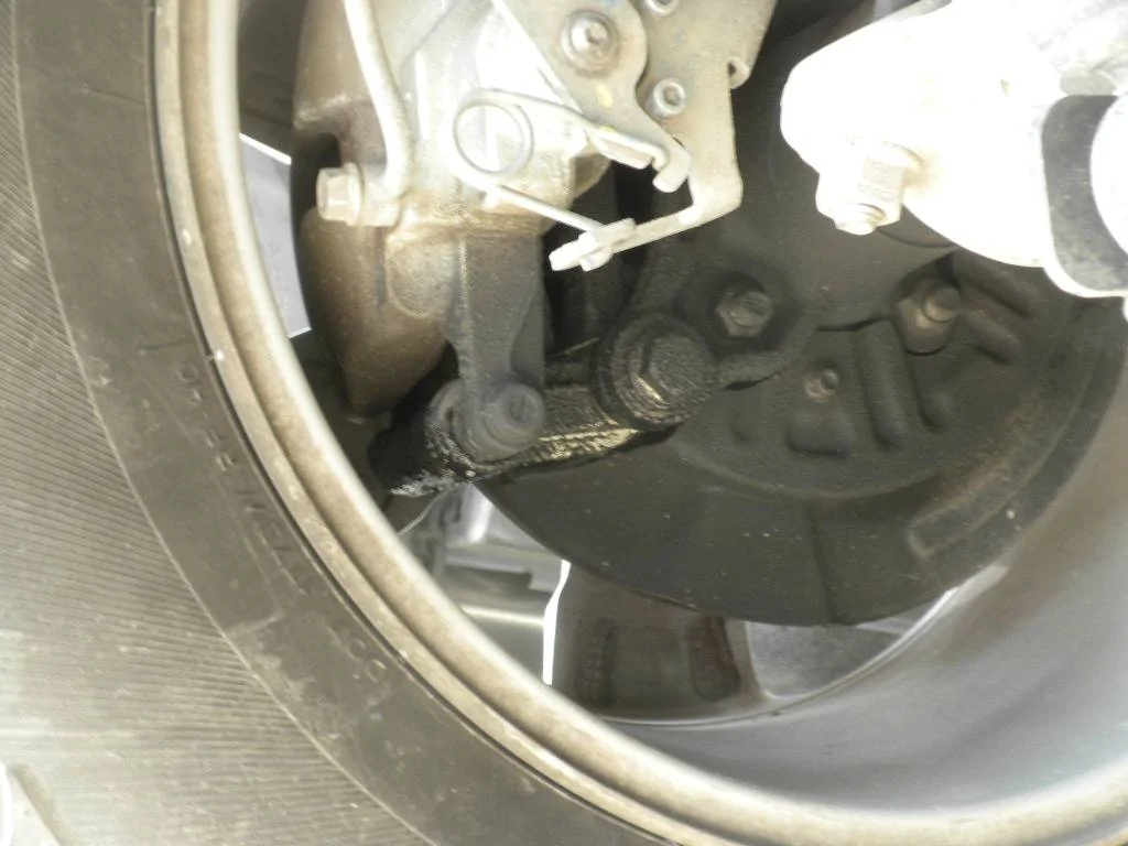 DSCN8581.webp