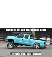 1732831018220-7m.gif