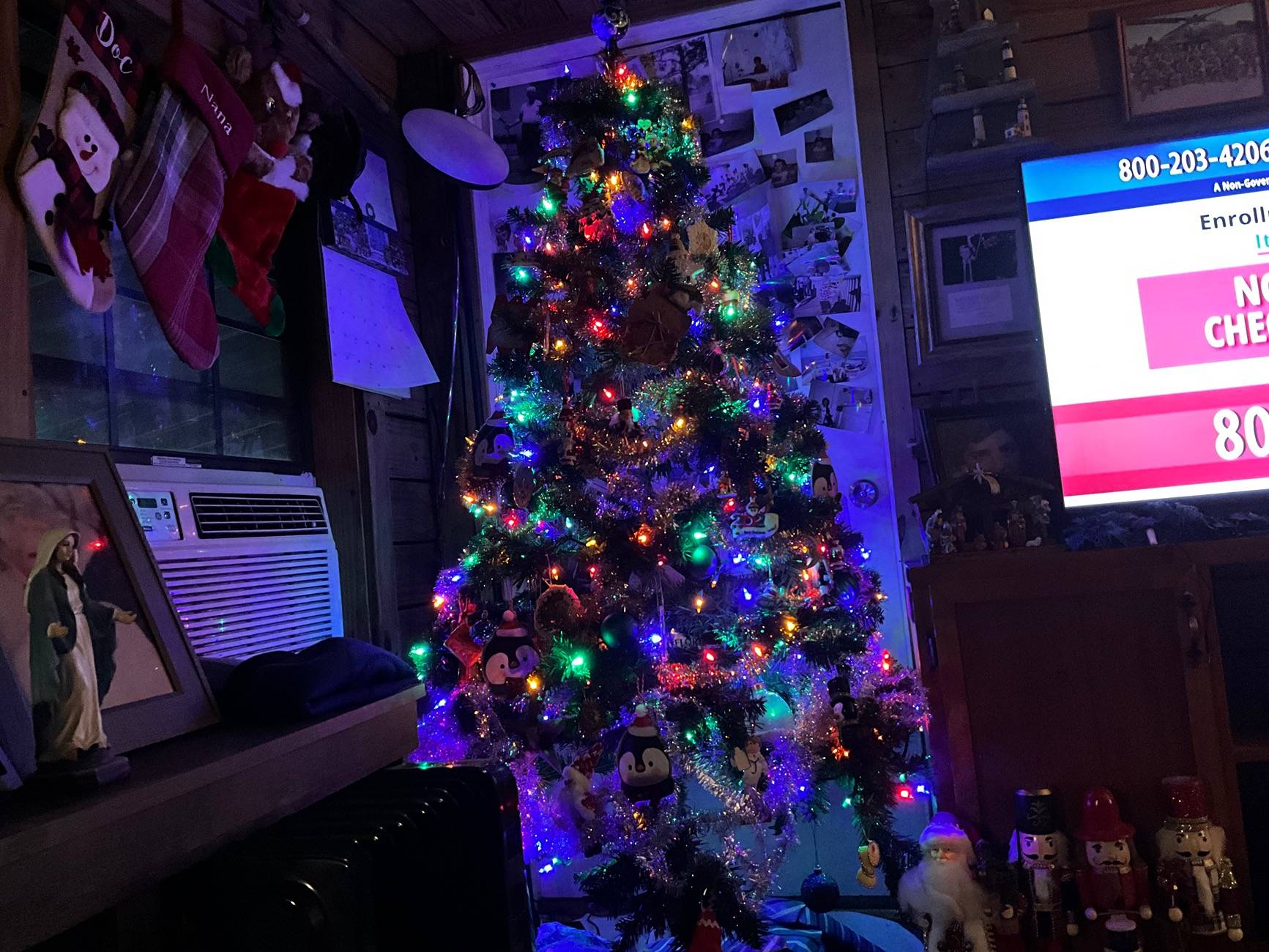 IMG_0093.jpeg