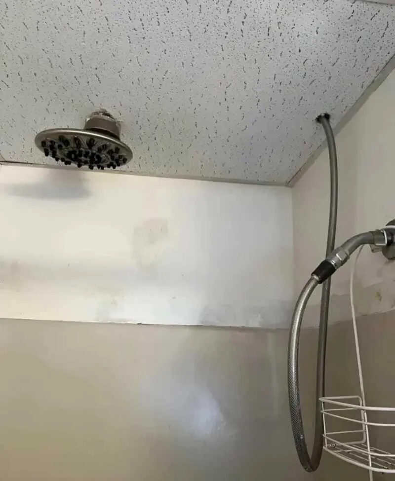 1733437264118-oa.webp