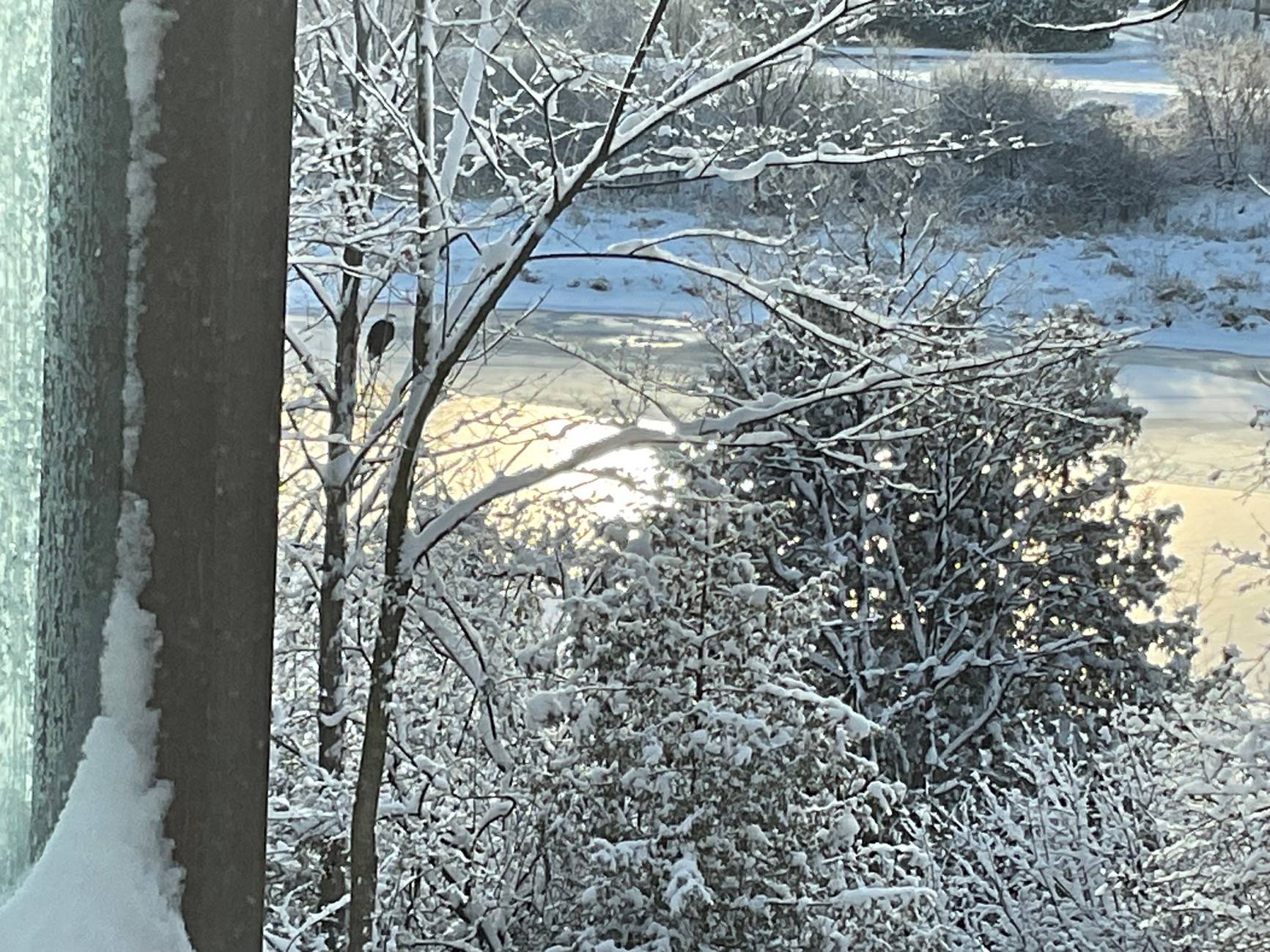 IMG_7952.jpeg
