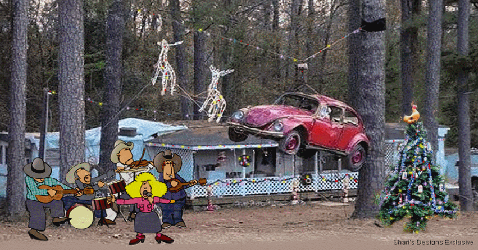 1733752845523-1t.gif