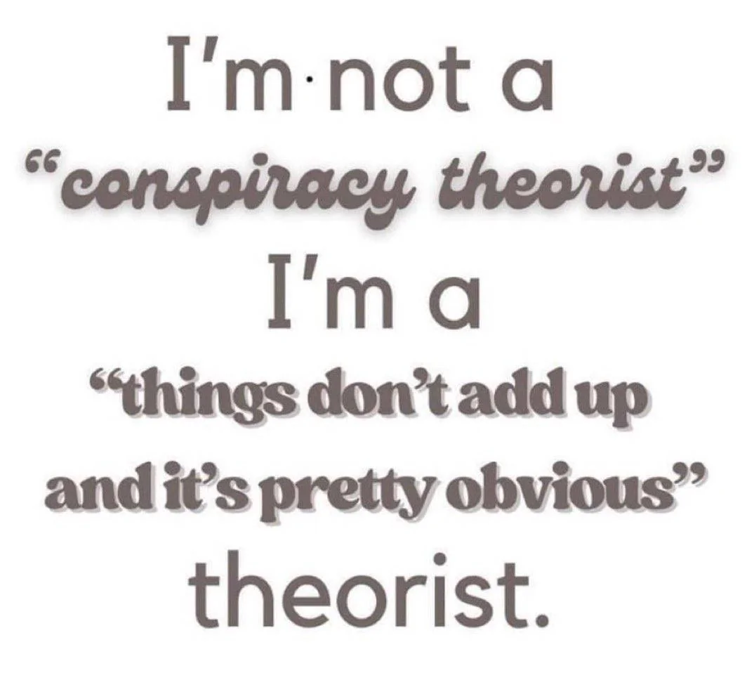 Conspiracy Theorist.webp