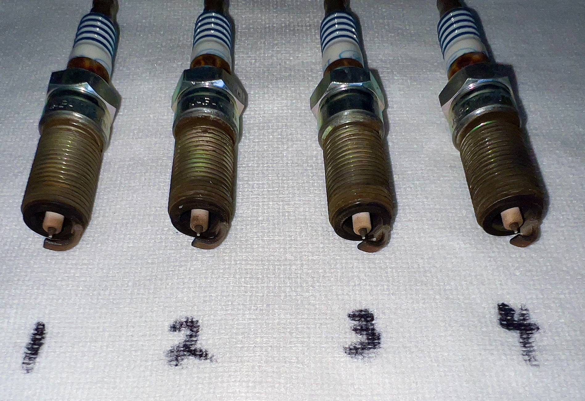SparkPlugs 02.JPEG