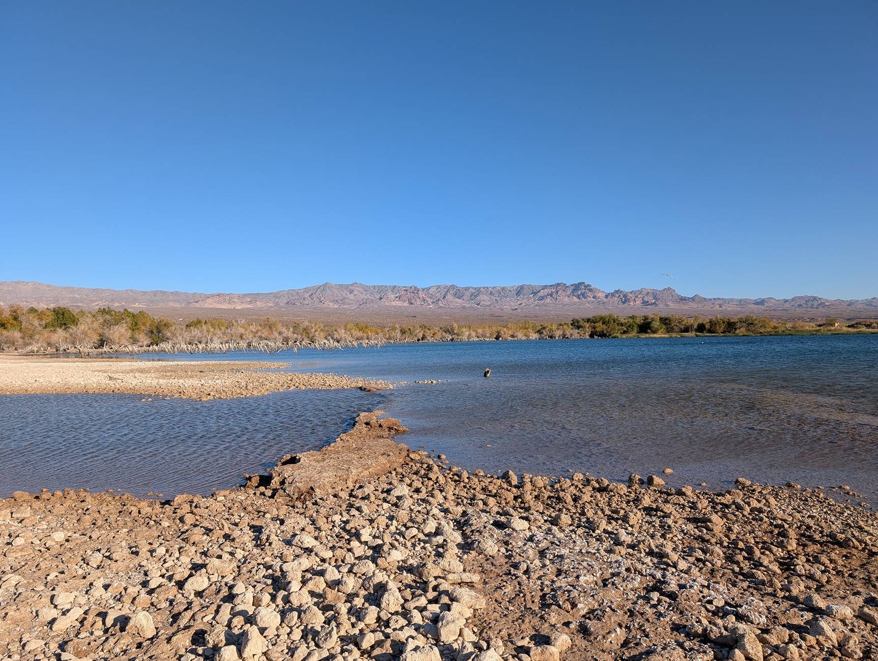 PXL_20241215_222421167.jpg