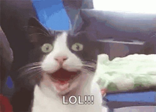 1000006566.gif