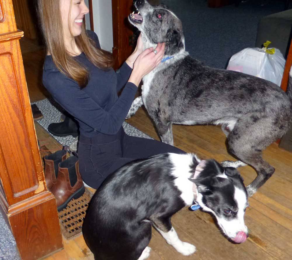 elladogs572.jpg