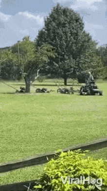 1734615097491-lc.gif