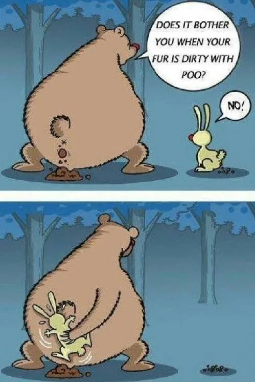 poo.webp