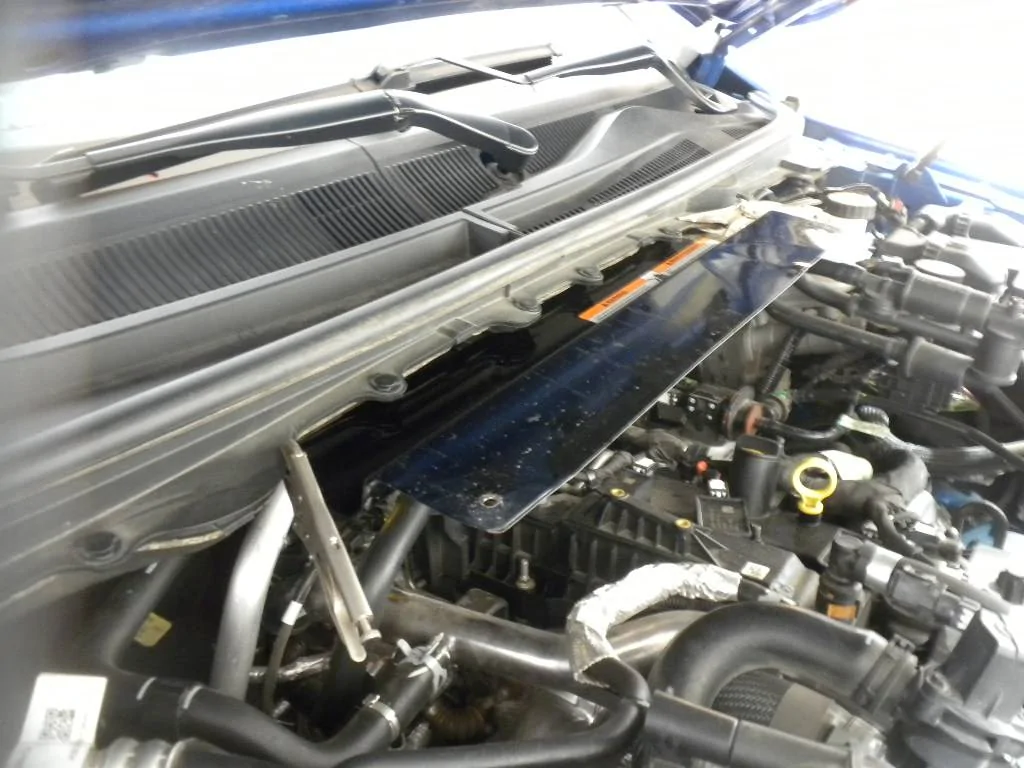 DSCN9638.webp
