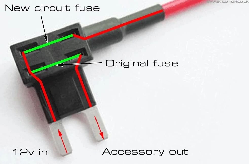 1735429054619-e1.jpg