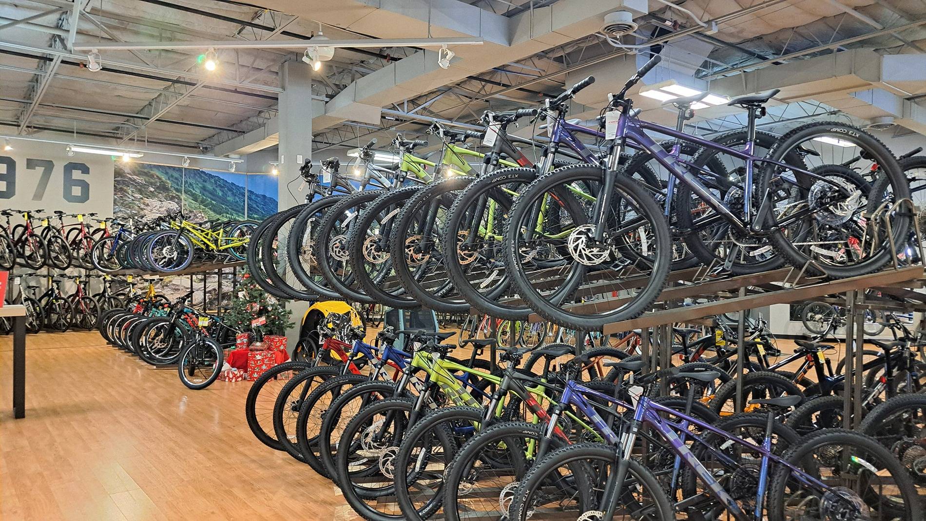 Mtn. bikes jpg.jpg