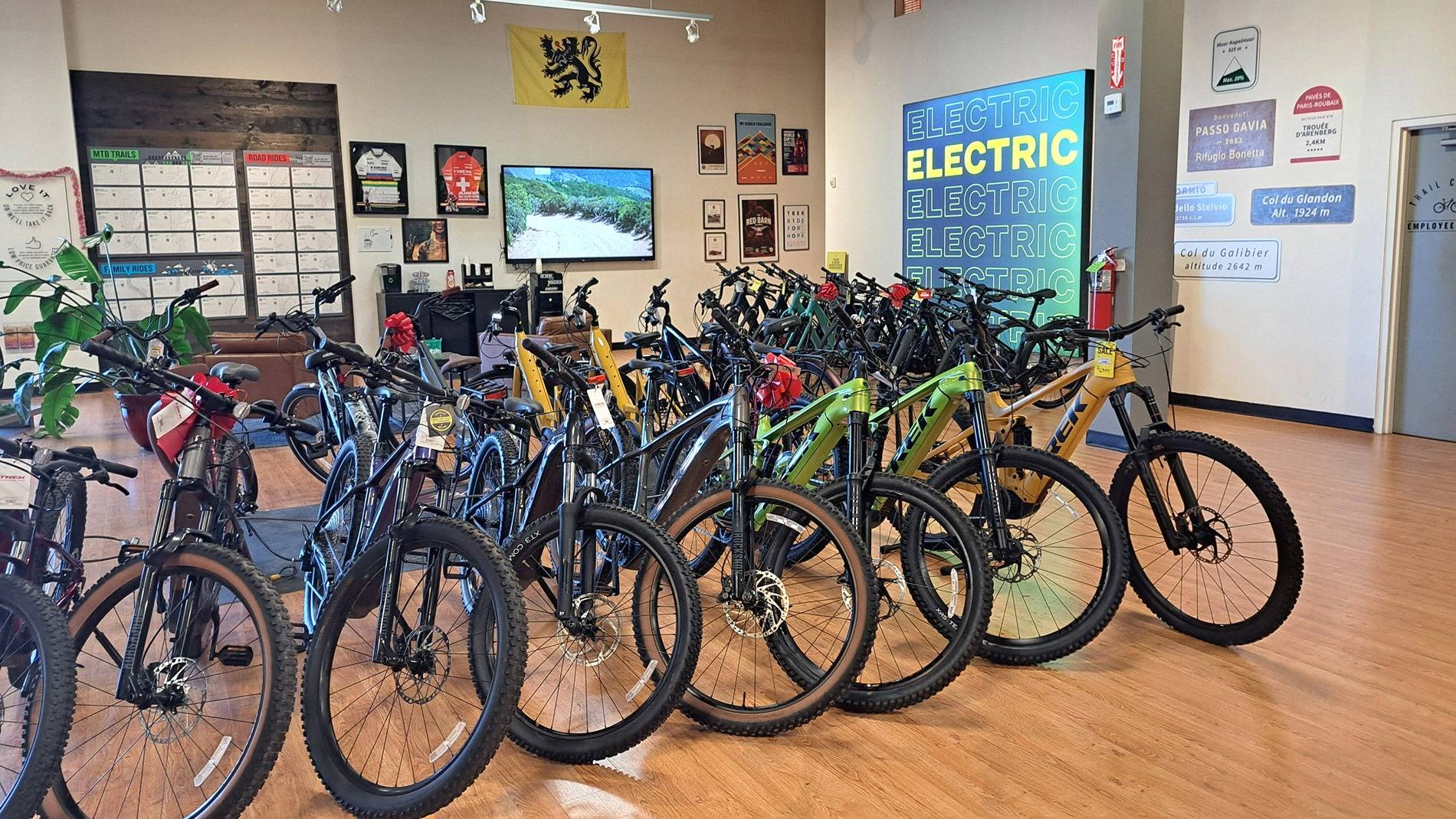 ebikes jpeg.jpg