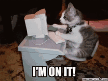 im-on-it-cats.gif