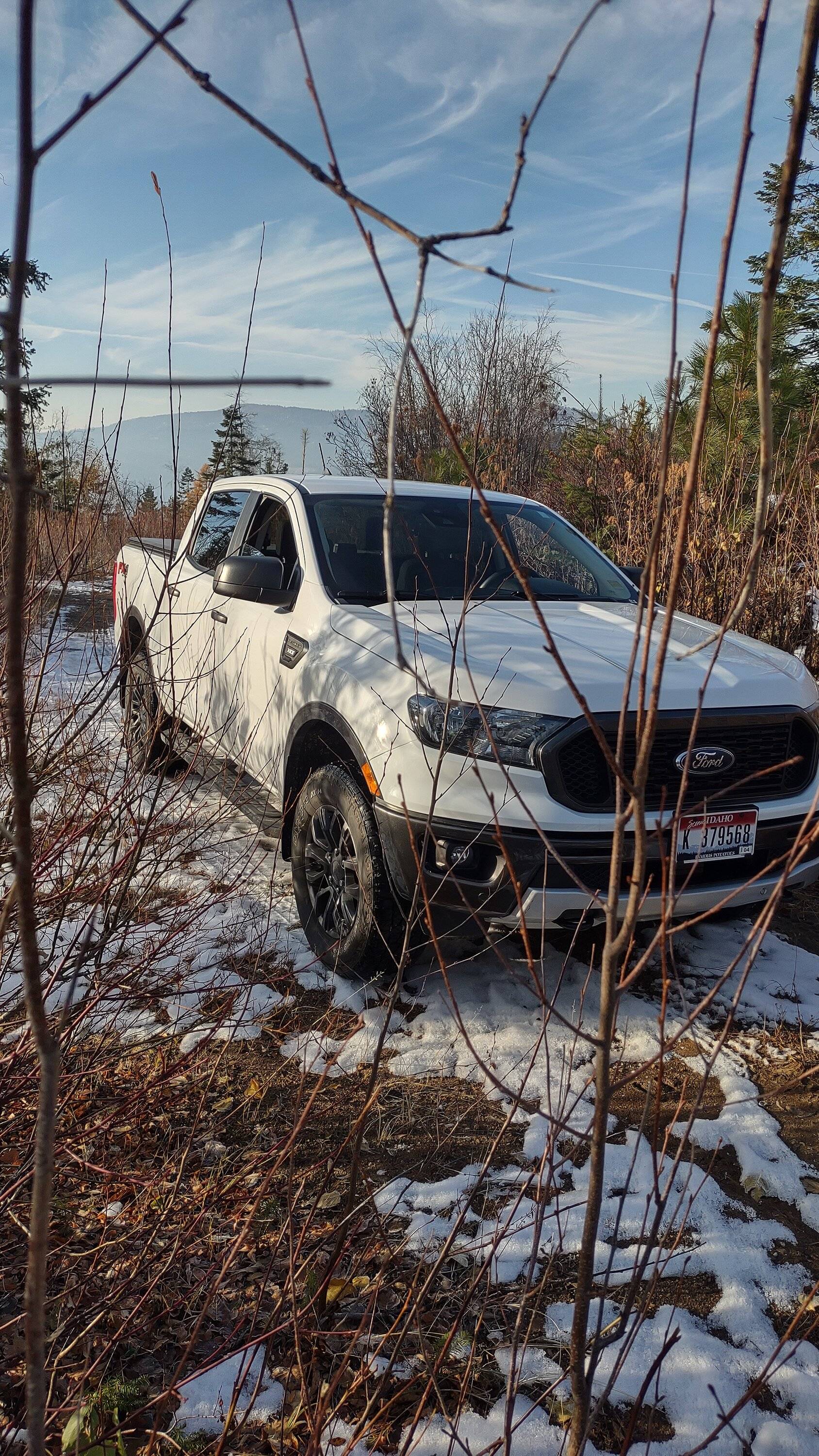 IMG_20241108_084158136_HDR.jpg