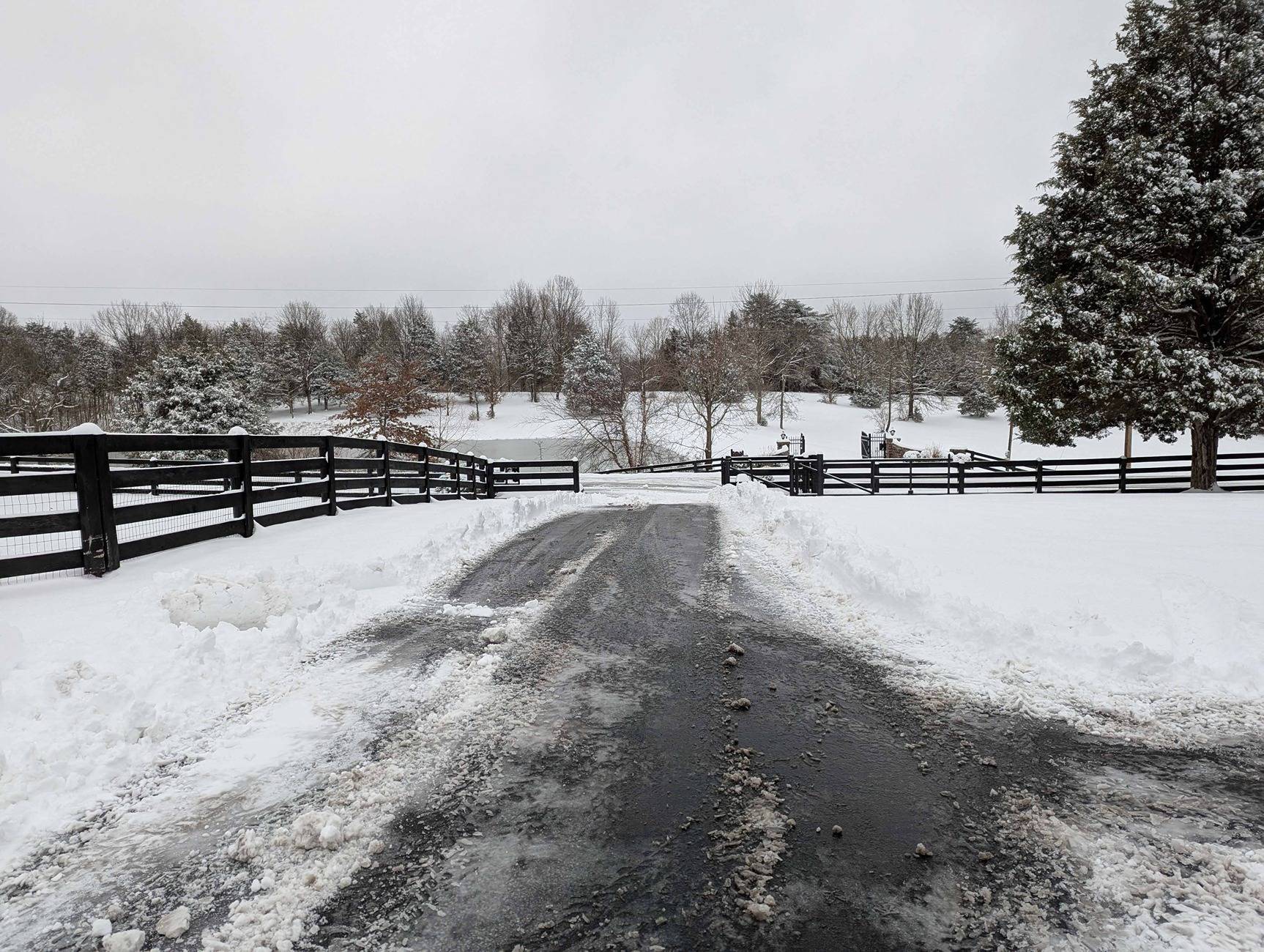 snow jan 25 driveway1.jpg