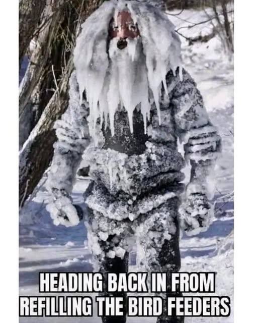 Frozen bird feeder.jpg