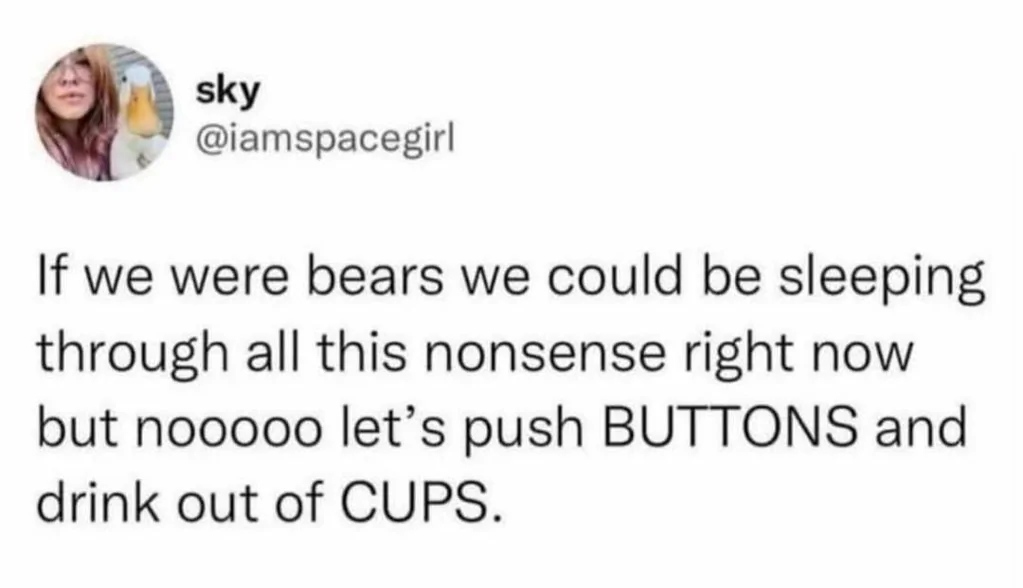 Bears.webp