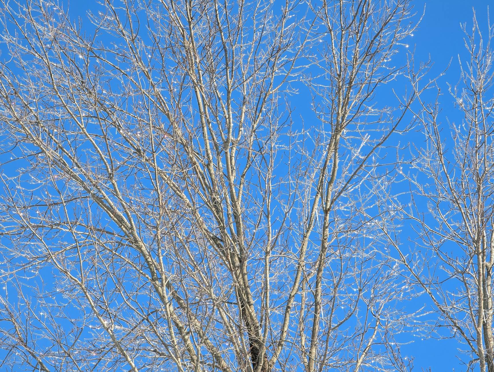 PXL_20250109_192429817.jpg