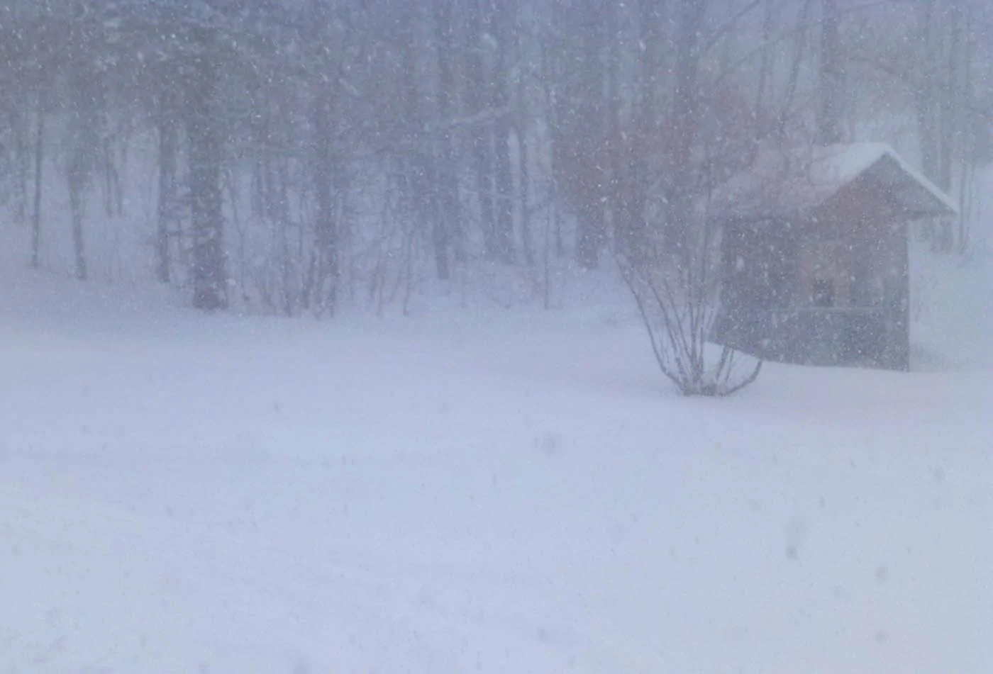 snowfall89.webp