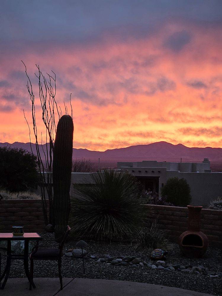 desert sunrise.jpg