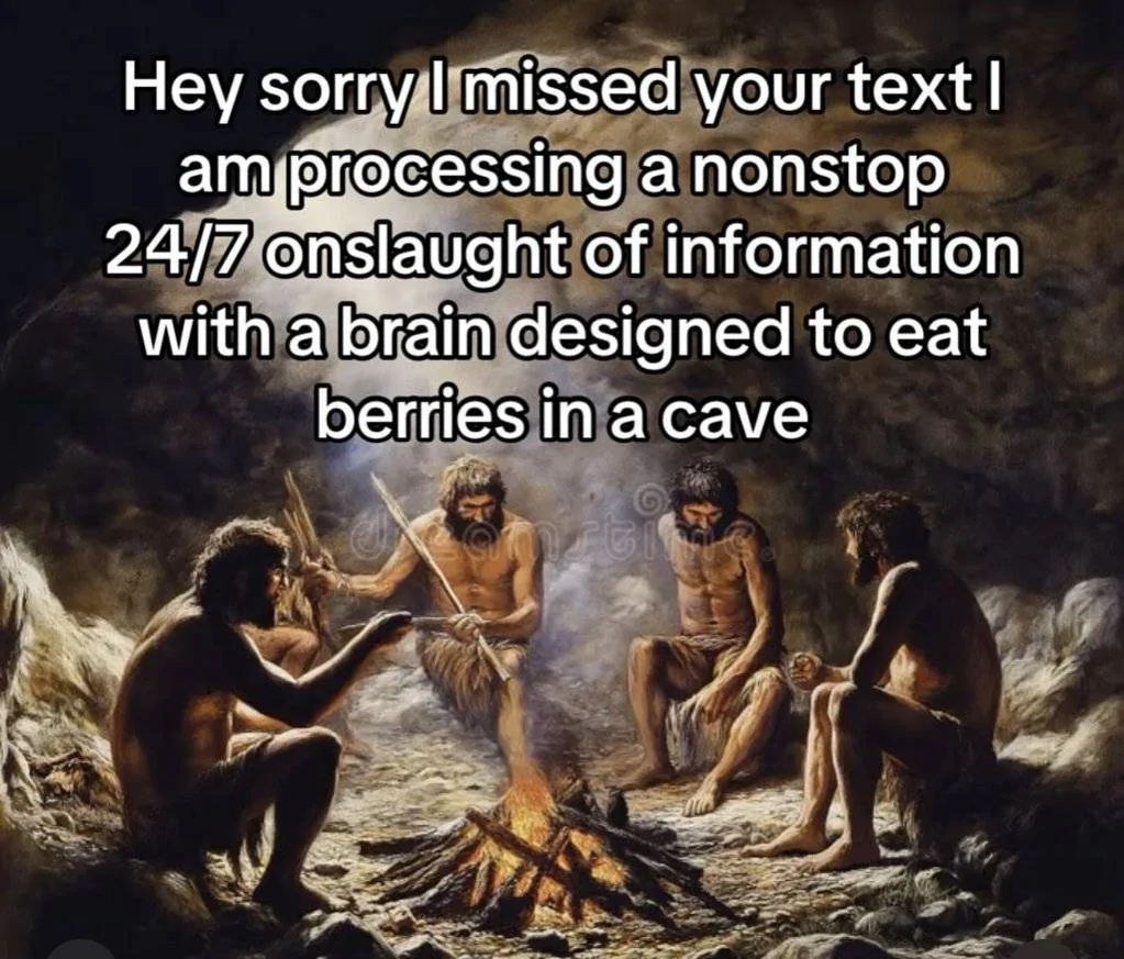 Brain.webp