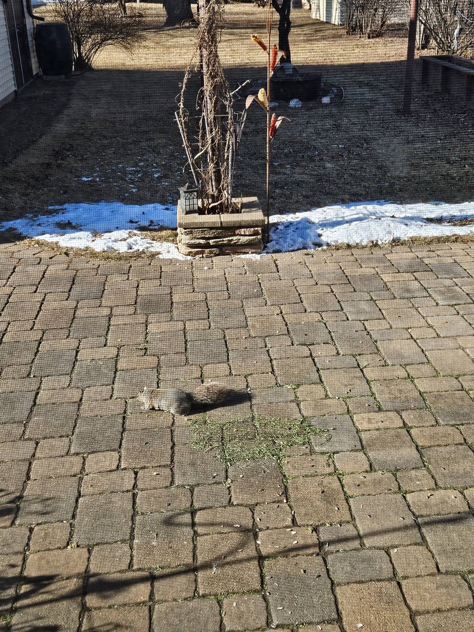 20250121_113231.jpg